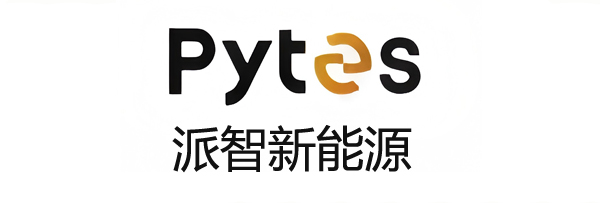 山东派智新能源科技有限公司